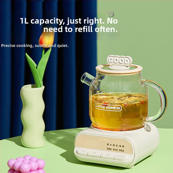 Zdravotný hrniec so skleneným telom z borosilikátového skla, objem 1 L, 220V 500W, digitálny termostat, ovládanie tlačidlom, model F1