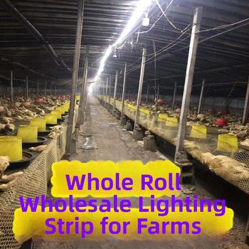 Vonkajšia LED páska s 5050 LED a CR čipom, 11,52 W/m, 220 V, určená pre vonkajšiu reklamu