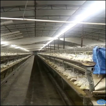 Vonkajšia LED páska s 5050 LED a CR čipom, 11,52 W/m, 220 V, určená pre vonkajšiu reklamu