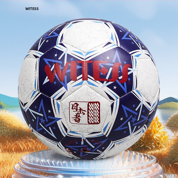 PVC futbalová lopta, šitá strojom, národný štandard, tlačené logo, možnosť prispôsobenia