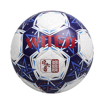PVC futbalová lopta, šitá strojom, národný štandard, tlačené logo, možnosť prispôsobenia