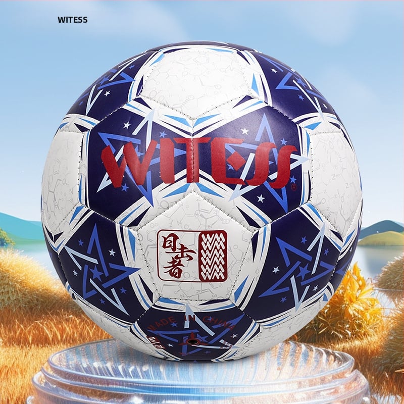 PVC futbalová lopta, šitá strojom, národný štandard, tlačené logo, možnosť prispôsobenia