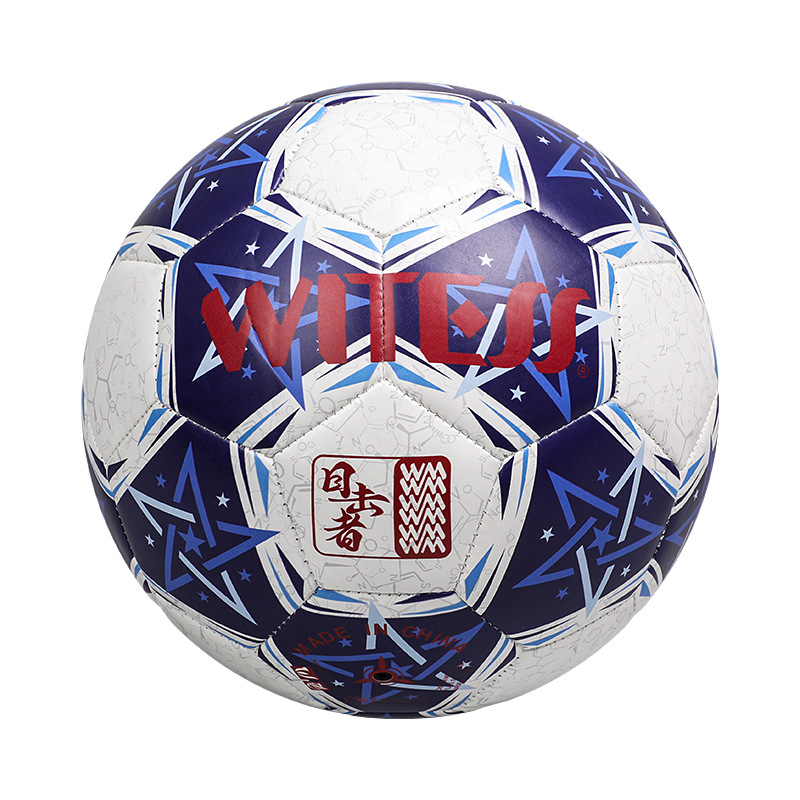 PVC futbalová lopta, šitá strojom, národný štandard, tlačené logo, možnosť prispôsobenia