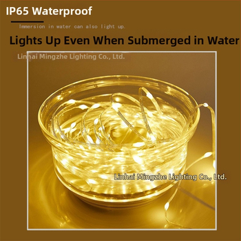 LED reťaz s koženým káblom pre vonkajšie použitie (20 LED, IP65, napájanie batériou, diaľkové ovládanie, ≤36V)