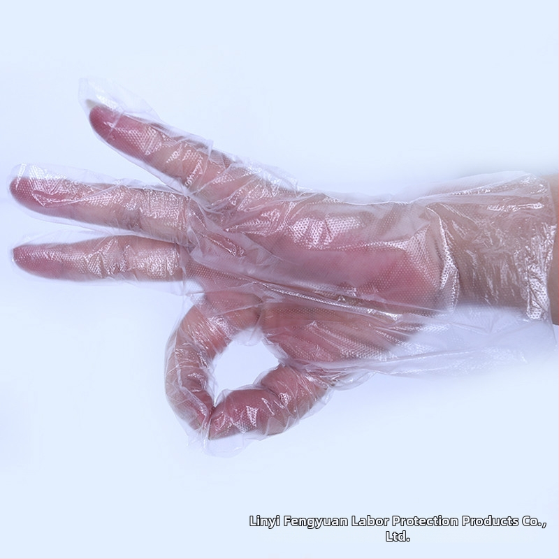 Jednokratne rukavice od polietilena, vodonepropusne za prehrambenu industriju, 100 komada u pakiranju, marka Wannuori