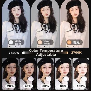 LED панел светлина за лайв стрийминг и фотозаснемане; преносима, 51-100W, 220V, вертикален монтаж, вътрешно видеозаснемане