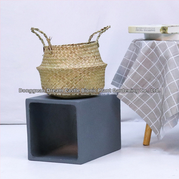 Vnútorná krajinná dekorácia: betónový kvetináč, nordický štýl, podlahový typ, vhodné pre kancelárie, hotely a domáce bývanie