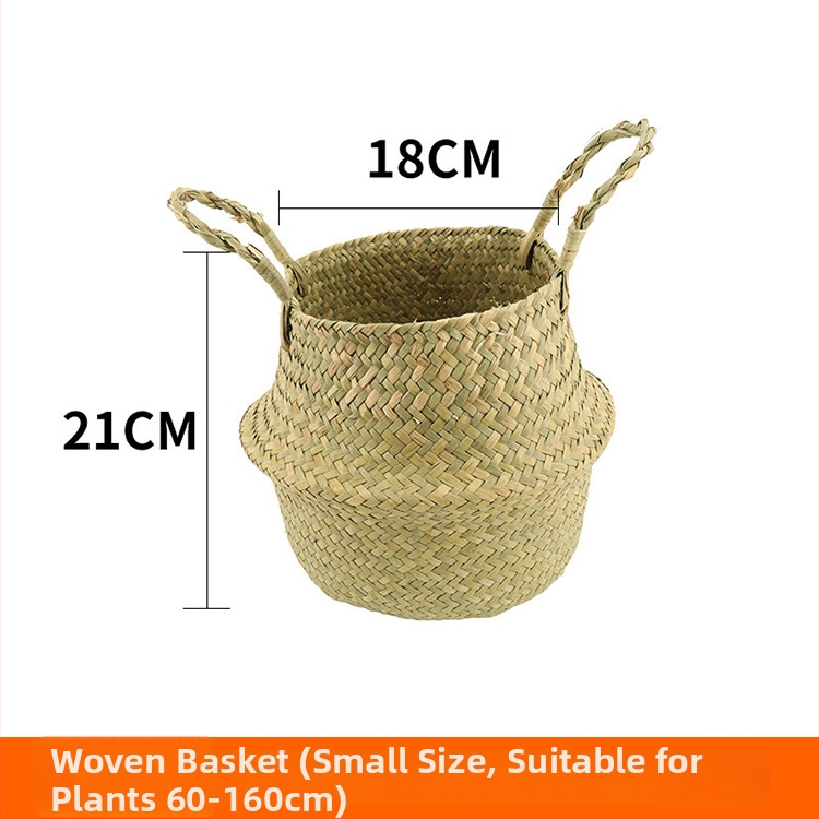 Vnútorná krajinná dekorácia: betónový kvetináč, nordický štýl, podlahový typ, vhodné pre kancelárie, hotely a domáce bývanie