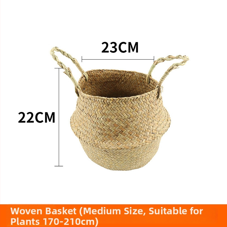 Vnútorná krajinná dekorácia: betónový kvetináč, nordický štýl, podlahový typ, vhodné pre kancelárie, hotely a domáce bývanie