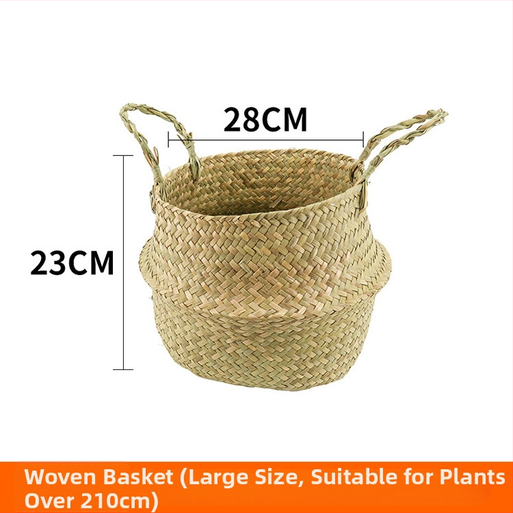 Vnútorná krajinná dekorácia: betónový kvetináč, nordický štýl, podlahový typ, vhodné pre kancelárie, hotely a domáce bývanie