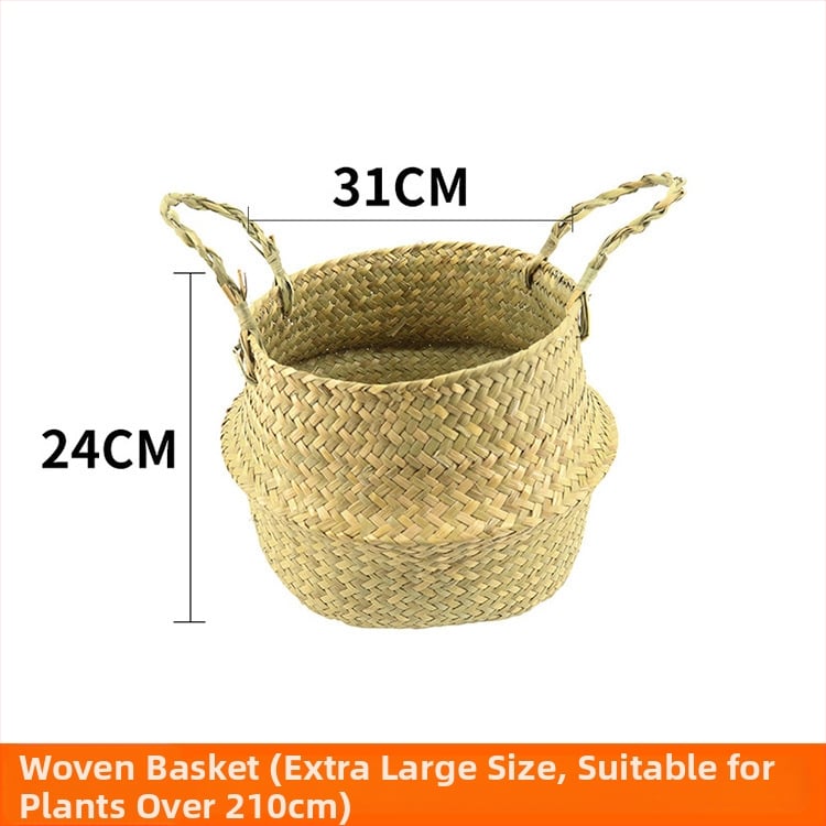 Vnútorná krajinná dekorácia: betónový kvetináč, nordický štýl, podlahový typ, vhodné pre kancelárie, hotely a domáce bývanie