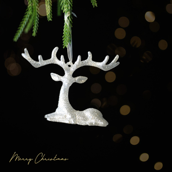 Akrylový visiaci ozdobný prvok – Vianočný štýl, na Vianoce, značka Miman