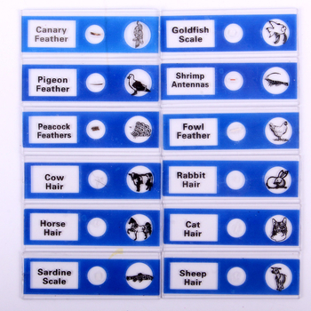 Gauda 12 пластмасови предметни стъкла за биологични проби за научни експерименти, за деца 7–14 години