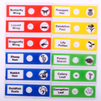 Gauda 12 пластмасови предметни стъкла за биологични проби за научни експерименти, за деца 7–14 години