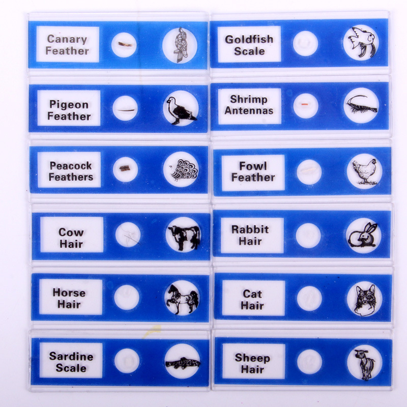 Gauda 12 пластмасови предметни стъкла за биологични проби за научни експерименти, за деца 7–14 години