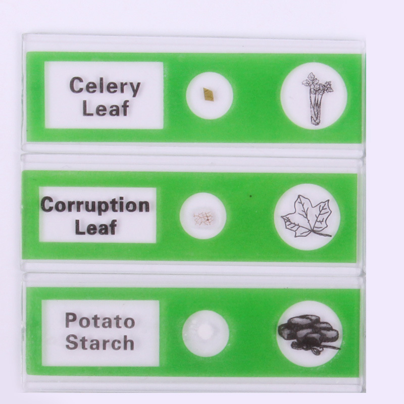 Gauda 12 пластмасови предметни стъкла за биологични проби за научни експерименти, за деца 7–14 години