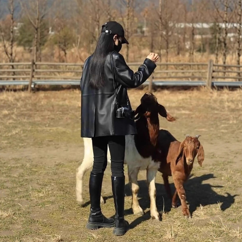 Sieviešu PU ādas jaka vidēja garuma, noliektā apkakle, garas piedurknes, vienkāršs aizdari ar vairākiem pogām, ikdienas stils