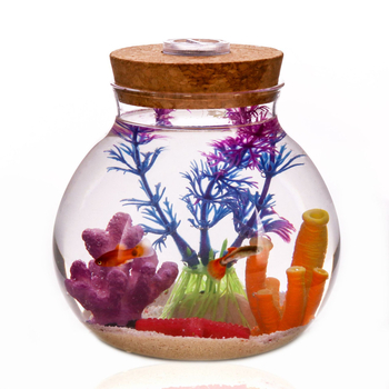 Okrúhla sklenená fľaša na terárium s vekom a LED osvetlením – sklo vysokého borosilikátu, značka Levana, balenie papierová škatuľa, cezhraničný export Áno