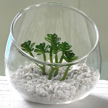 Geometrická váza z borosilikátového skla pre mach a sukulenty — fúkané sklo, leštený povrch, geometrický tvar, možnosť potlače loga