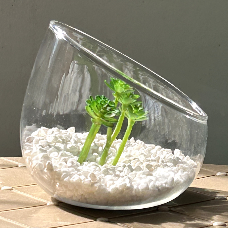 Geometrická váza z borosilikátového skla pre mach a sukulenty — fúkané sklo, leštený povrch, geometrický tvar, možnosť potlače loga