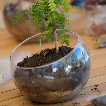 Sklenená fľaša s nakloneným veľkým otvorom pre mikrolandský mach – Materiál: borosilikátové sklo, Výroba: fúkané, Povrch: leštený, Vtvar: geometrický, Štýl: jednoduchý a moderný