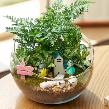 Sklenená fľaša s nakloneným veľkým otvorom pre mikrolandský mach – Materiál: borosilikátové sklo, Výroba: fúkané, Povrch: leštený, Vtvar: geometrický, Štýl: jednoduchý a moderný