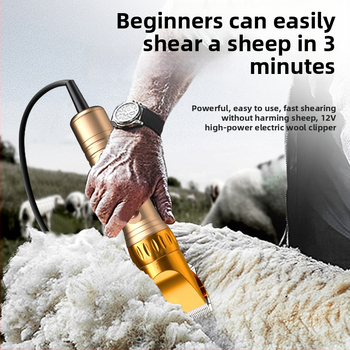 Elektrické nožnice na vlnu – keramická čepeľ, vysoký výkon, Huafei elektrické spotrebiče, vhodné pre súkromnú značku