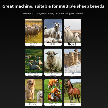 Elektrické nožnice na vlnu – keramická čepeľ, vysoký výkon, Huafei elektrické spotrebiče, vhodné pre súkromnú značku