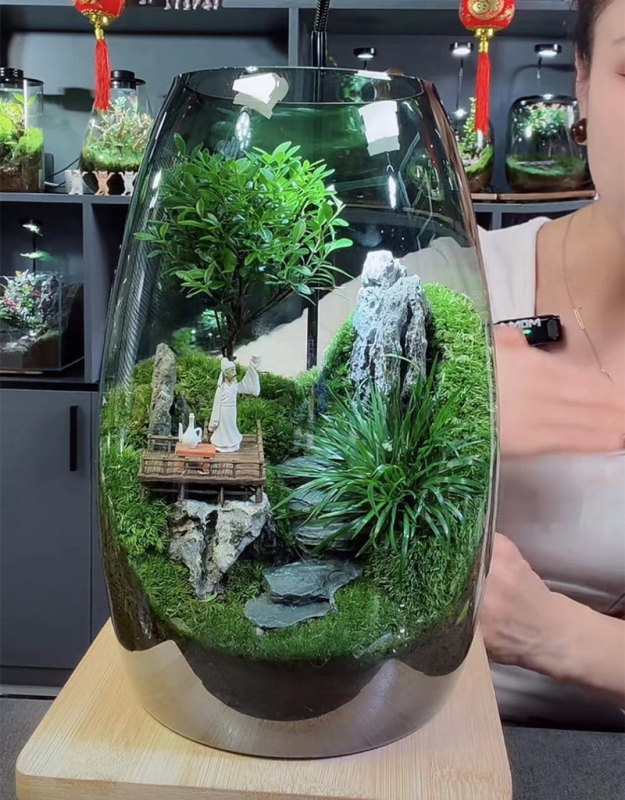 Γυάλινο βάζο μπονσάι με βρύα και μικροτοπίο, ελλειπτικού σχήματος, φυσητό γυαλί, εξατομίκευση