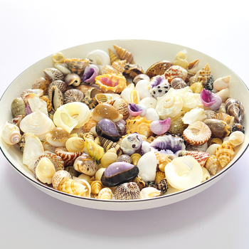 Dekoratívny súbor mušlí, korálov a koncha pre DIY projekty, dekoráciu akvária a aranžmány na stole