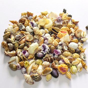 Dekoratívny súbor mušlí, korálov a koncha pre DIY projekty, dekoráciu akvária a aranžmány na stole