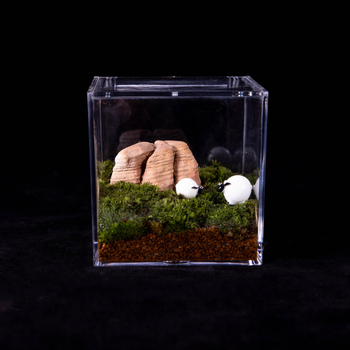 Akrilové terárium s mechem – mini DIY krabička na stôl, model Square Box Micro Landscape, Levana