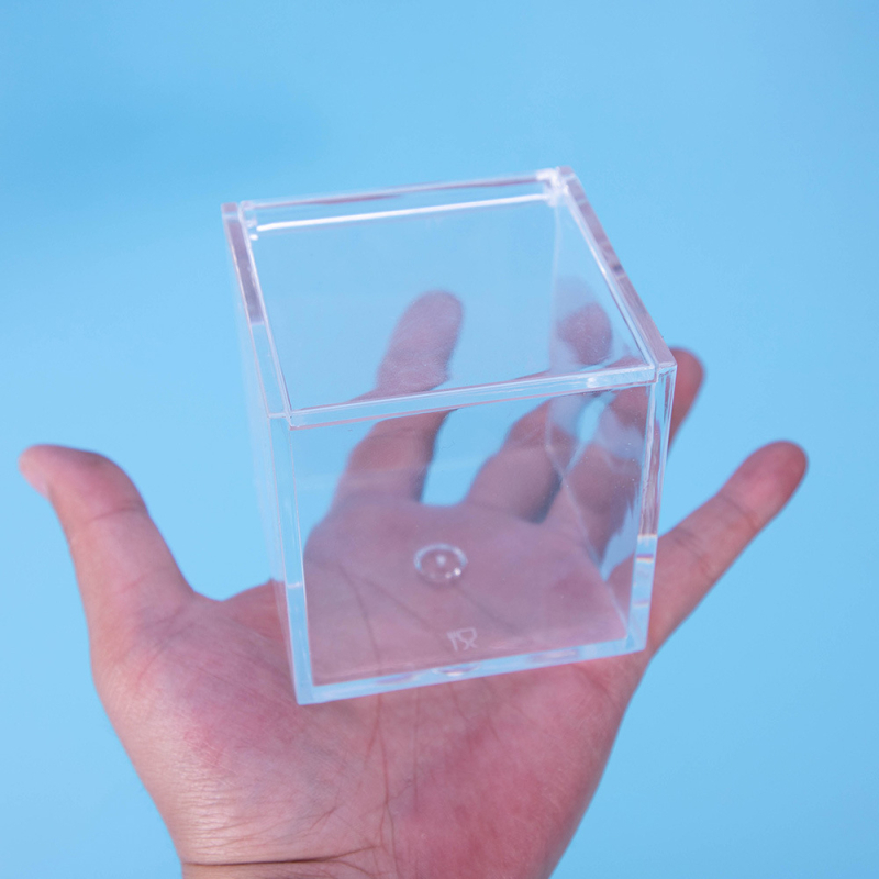 Akrilové terárium s mechem – mini DIY krabička na stôl, model Square Box Micro Landscape, Levana