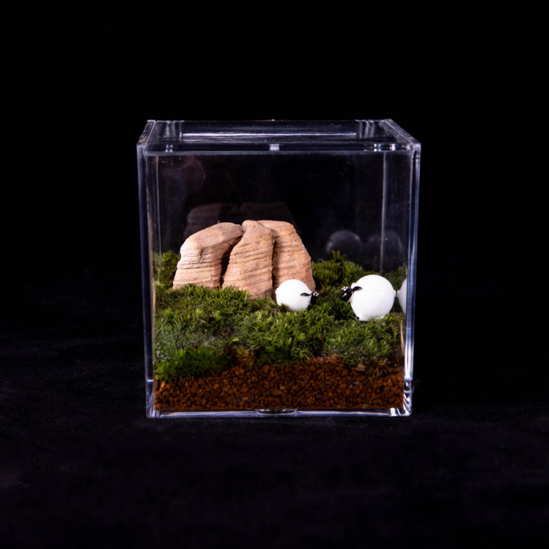 Akrilové terárium s mechem – mini DIY krabička na stôl, model Square Box Micro Landscape, Levana
