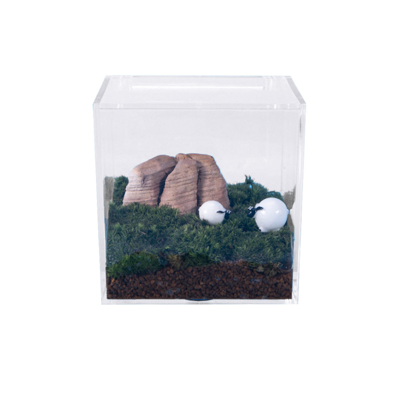 Akrilové terárium s mechem – mini DIY krabička na stôl, model Square Box Micro Landscape, Levana