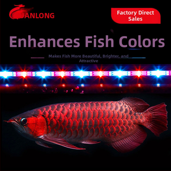 Spring Dragon akvarijné LED svetlo, 3W, sklo, osvetlenie, 1 kg