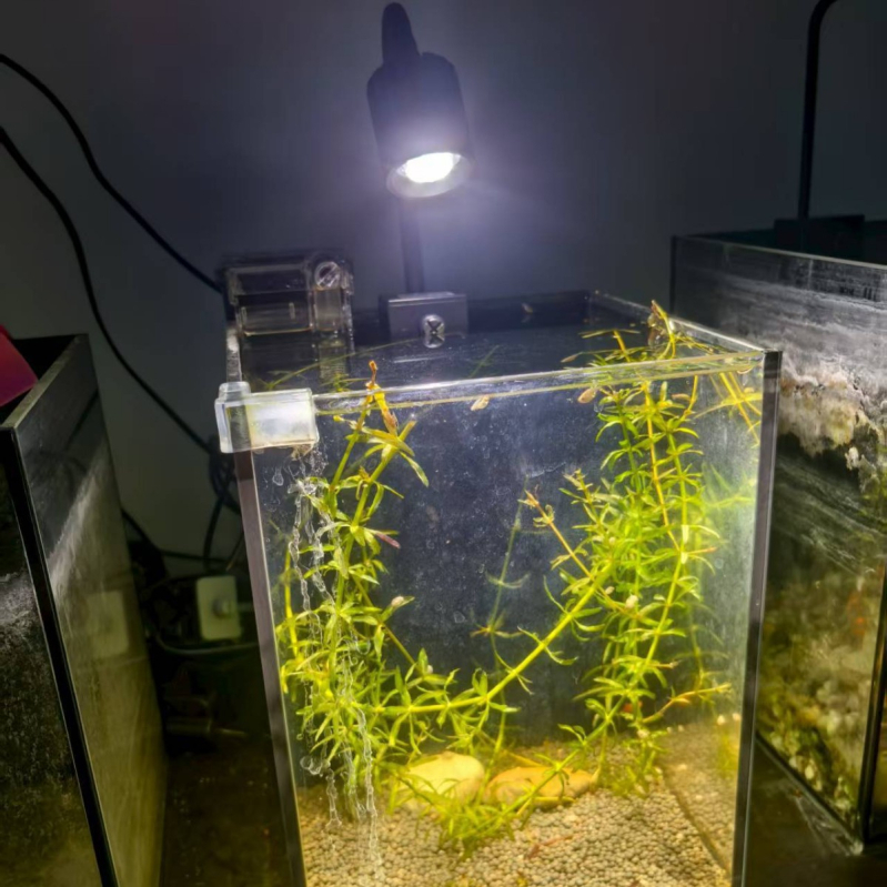 Klip svjetiljka za akvarij s aluminijskim kućištem, trobojna promjena boja, snaga 6W/8W/10W/12W, modeli 522/523/527/528, otpornost na prskanje vode