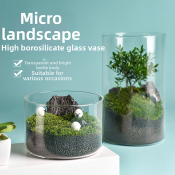 Prozirna staklena vaza za mikro krajolik, cilindrični oblik, borosilikatno staklo, prilagodljivo, Thick Glass