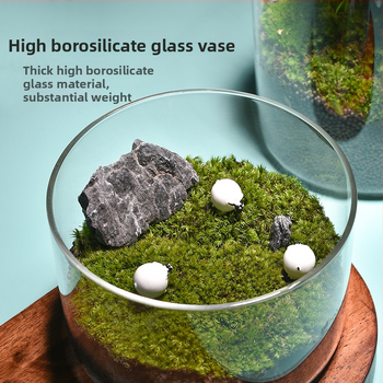 Prozirna staklena vaza za mikro krajolik, cilindrični oblik, borosilikatno staklo, prilagodljivo, Thick Glass