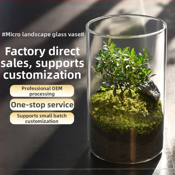 Prozirna staklena vaza za mikro krajolik, cilindrični oblik, borosilikatno staklo, prilagodljivo, Thick Glass