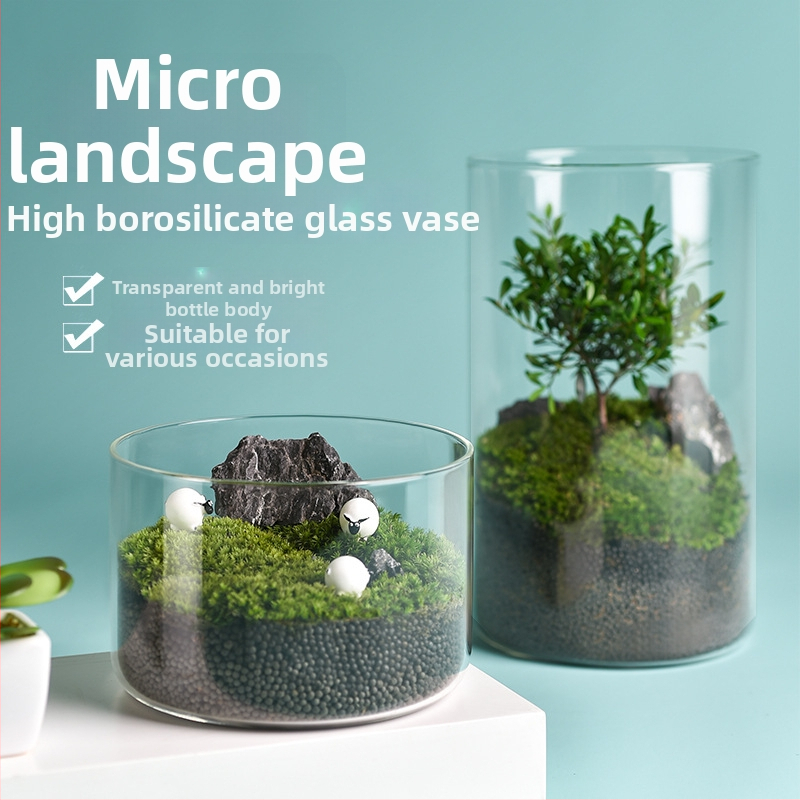 Priehľadná sklenená váza na mikro krajinu, valcový tvar, borosilikátové sklo, prispôsobiteľné, Thick Glass