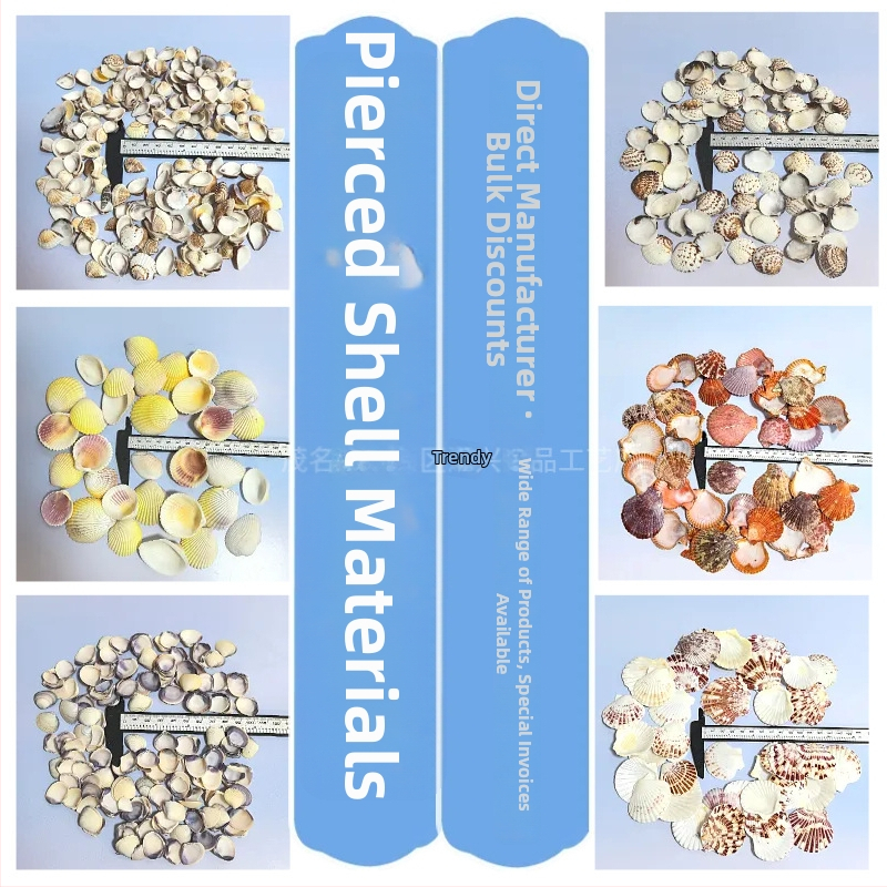 Prírodné mušle a morská hviezda pre terárium/akvárium, s perforáciami, ručne vyrobené rámčeky na detské fotografie, DIY zvonček vetra a fľaša drift