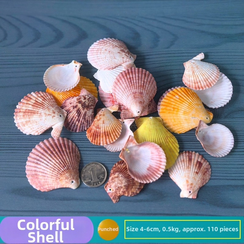 Prírodné mušle a morská hviezda pre terárium/akvárium, s perforáciami, ručne vyrobené rámčeky na detské fotografie, DIY zvonček vetra a fľaša drift