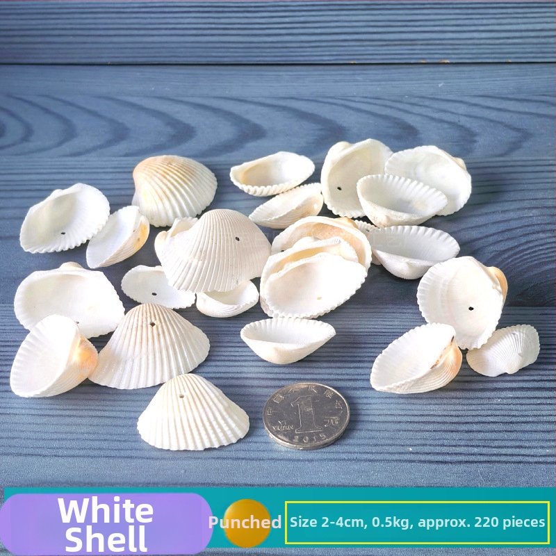 Prírodné mušle a morská hviezda pre terárium/akvárium, s perforáciami, ručne vyrobené rámčeky na detské fotografie, DIY zvonček vetra a fľaša drift