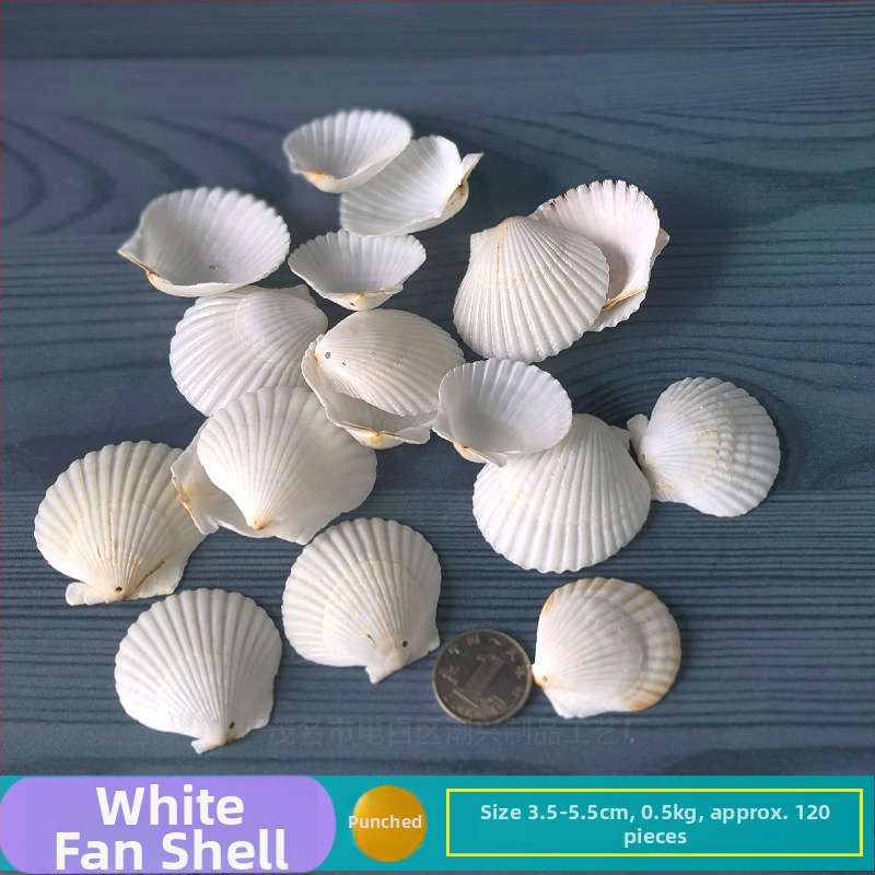 Prírodné mušle a morská hviezda pre terárium/akvárium, s perforáciami, ručne vyrobené rámčeky na detské fotografie, DIY zvonček vetra a fľaša drift