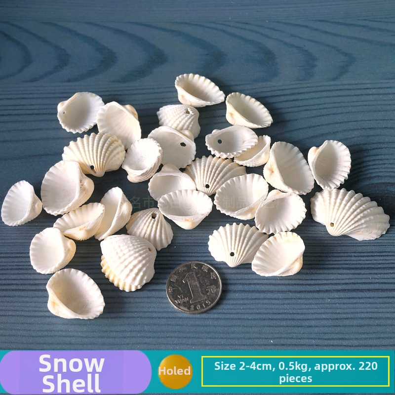 Prírodné mušle a morská hviezda pre terárium/akvárium, s perforáciami, ručne vyrobené rámčeky na detské fotografie, DIY zvonček vetra a fľaša drift