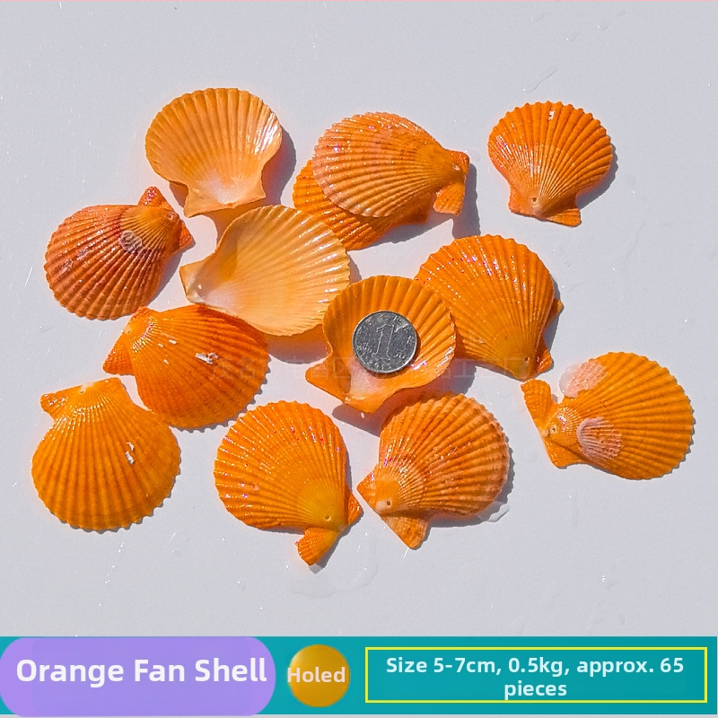 Prírodné mušle a morská hviezda pre terárium/akvárium, s perforáciami, ručne vyrobené rámčeky na detské fotografie, DIY zvonček vetra a fľaša drift