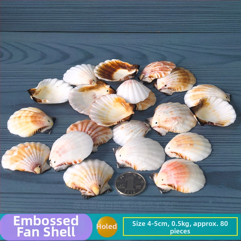 Prírodné mušle a morská hviezda pre terárium/akvárium, s perforáciami, ručne vyrobené rámčeky na detské fotografie, DIY zvonček vetra a fľaša drift