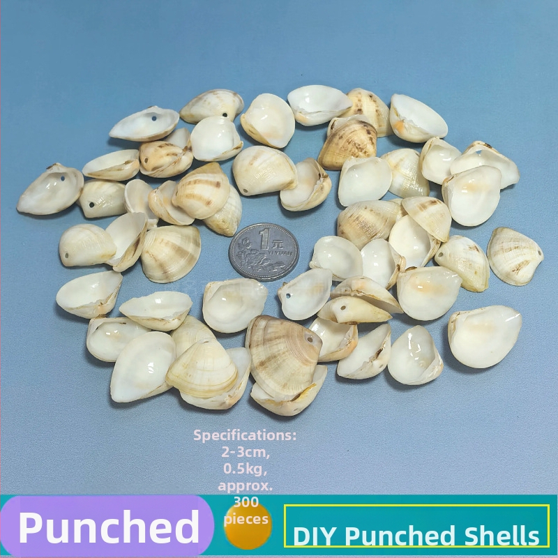 Prírodné mušle a morská hviezda pre terárium/akvárium, s perforáciami, ručne vyrobené rámčeky na detské fotografie, DIY zvonček vetra a fľaša drift