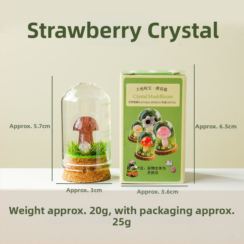 Sada 9 krištáľových húb v fľaštičke s prianím – ornament z krištálu, malý krajinný dizajn, darčekové balenie, moderný minimalistický geometrický dizajn, Apeng Crystal Crafts